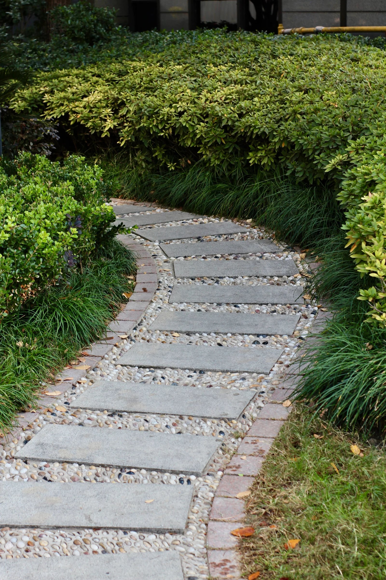 Stone stepping slabs and gravel curving through green garden planting